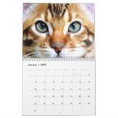 AdonisBengals Kalender 2014 (Jan 2027)