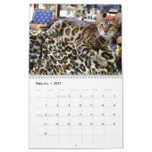 AdonisBengals Kalender 2014 (Feb 2027)