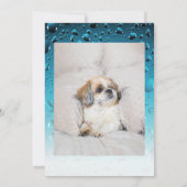 Adopt me dog custom 2 photo shelter animal rescue einladung (Rückseite)