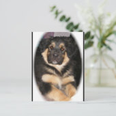 Adoptable_GSD_mix Postkarten (Stehend Vorderseite)