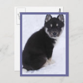 Adoptable Puppy Postkarten #4 (Vorne/Hinten)