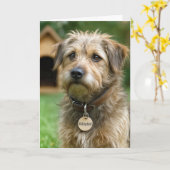 Adopted Gotcha Day Dog Karte (Gelbe Blume)