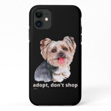 ADOPTIER, DON not SHOP (Yorkshire Terrier) niedlic
