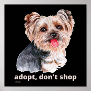 ADOPTIER, DON not SHOP (Yorkshire Terrier) niedlic Poster