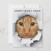 Adoptier Don't Shop Cat Awareness Flat Card Einladung (Vorderseite)