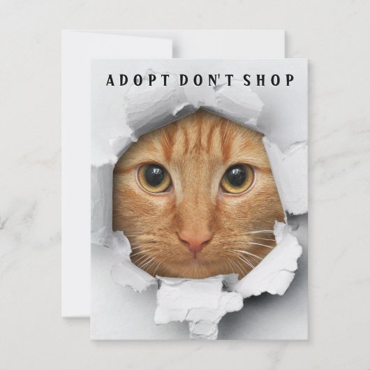 Adoptier Don't Shop Cat Awareness Flat Card Einladung (Vorderseite)