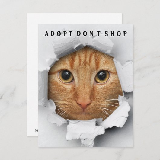 Adoptier Don't Shop Cat Awareness Flat Card Einladung (Vorne/Hinten)