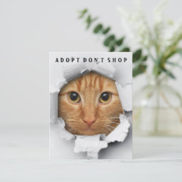 Adoptier Don't Shop Cat Awareness Flat Card Einladung