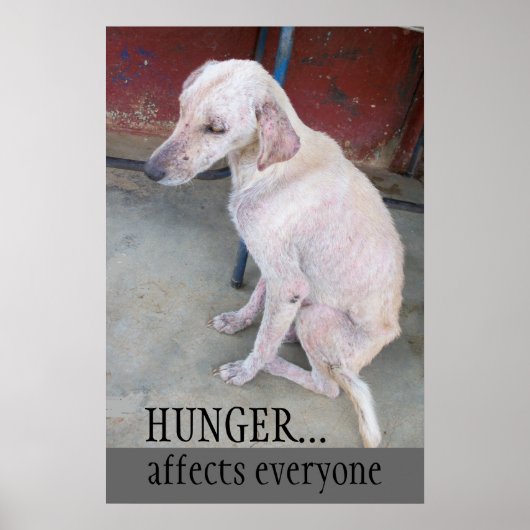 Adoptier Dont Shop Poster (Vorne)