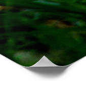 Adoptier ein Rettungshundposter/Poodle Poster (Ecke)