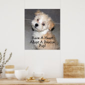 Adoptier einen Rettungspuffer! Poster (Küche)