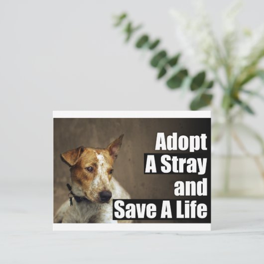 Adoptier einer einfachen Postkarte (Stehend Vorderseite)