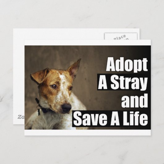 Adoptier einer einfachen Postkarte (Vorne/Hinten)