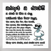 Adoptier einer Ente Poster (Vorne)
