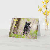 Adoptier einer PSA-Karte für die Tierhütte Karte (Gelbe Blume)