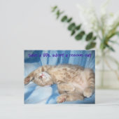 Adoptier einer Rettungskatze Postkarte (Stehend Vorderseite)