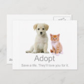 adoptier eines Haustiers Postkarte (Vorne/Hinten)