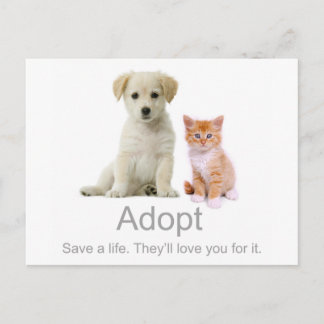 adoptier eines Haustiers Postkarte