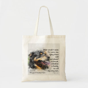 Adoptier eines Hundehundes - Berner Hund Tragetasche