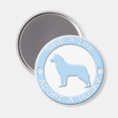 Adoptier eines Husky Magnet (Vorderseite/Rückseite)