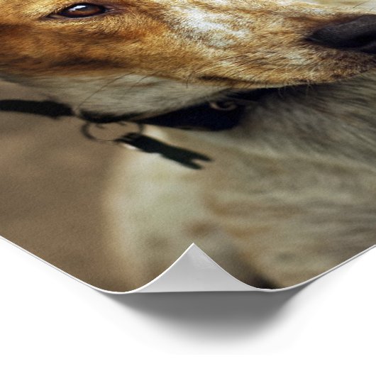 Adoptier eines Strohplakats Poster (Ecke)