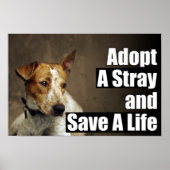 Adoptier eines Strohplakats Poster (Vorne)