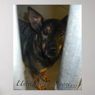 Adoptier eins! Poster