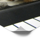 Adoptier heute eine Unterschlupf Poster (Ecke)