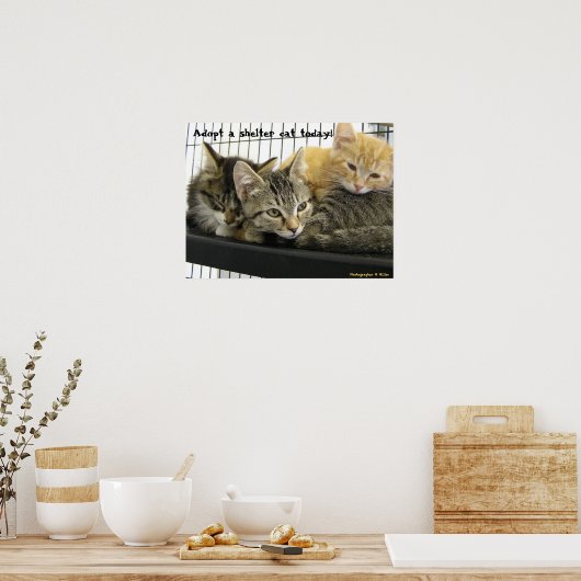 Adoptier heute eine Unterschlupf Poster (Küche)