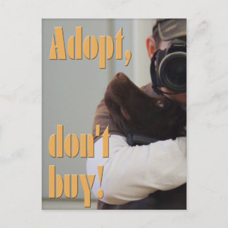 Adoptier, kaufe nicht! - Fuxart Postkarte