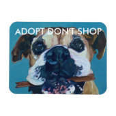 ADOPTIER KEIN KFZ-Magnet Magnet (Horizontal)