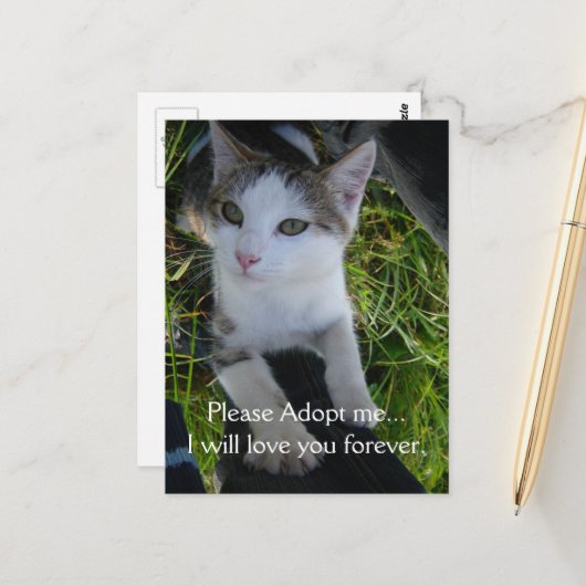 Adoptier mir bitte.. Liebe für immer Katze Postkarte (Vorderseite/Rückseite Beispiel)