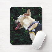 Adoptier mir mousepad (Mit Mouse)
