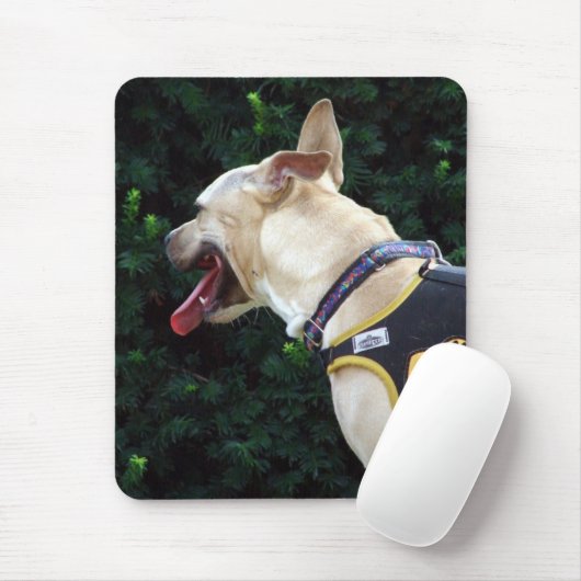 Adoptier mir mousepad (Mit Mouse)