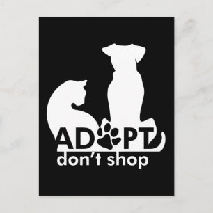 Adoptier nicht kaufen Dog Cat White Postkarte