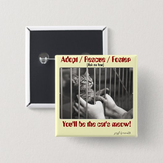 Adoptier, Rettung, Foster Button (Vorne & Hinten)