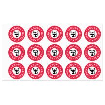 Adoptier, Rettung, Foster | Niedlich Black Cat