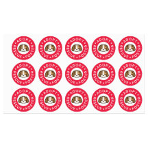 Adoptier, Rettung, Foster | Niedlicher Hund Bandai