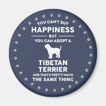 Adoptier tibetischen Terrier Happiness