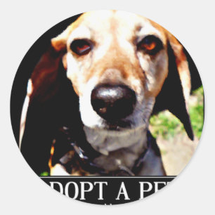 Adoptier, wir brauchen auch Liebe_ Runder Aufkleber