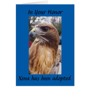 Adoptier Xena den Rotschwanzfalken - zu Ehren