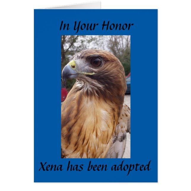 Adoptier Xena den Rotschwanzfalken - zu Ehren (Vorne)