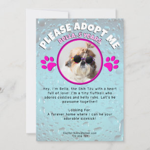 Adoptiere meinen Hund, individuelles Foto, Tierhei Einladung