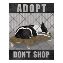 Adoptiere statt zu kaufen