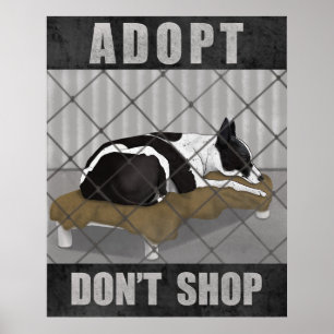 Adoptiere statt zu kaufen poster