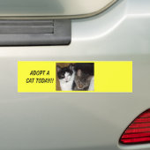 Adoptieren Sie einen Katzen-Autoaufkleber Autoaufkleber (Auf Auto)