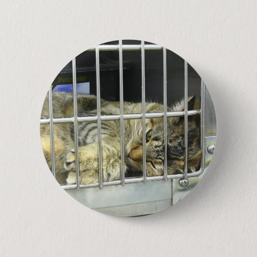 Adoptieren Sie einen Katzen-Knopf 001 Button (Vorderseite)