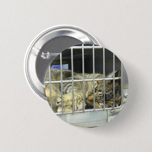 Adoptieren Sie einen Katzen-Knopf 001 Button (Vorne & Hinten)