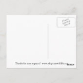 Adoptieren Sie einen Koala! Postkarte (Rückseite)