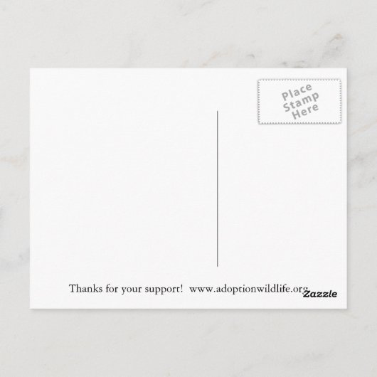 Adoptieren Sie einen Koala! Postkarte (Rückseite)